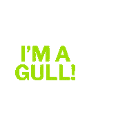 Gulls Sticker by Endicott College