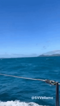 Search Teams From Three Countries Dispatched After Australian Army Helicopter Crashes at Sea