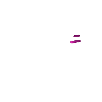Star Outrun Sticker