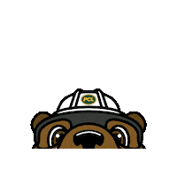 pcl_construction construction beaver pcl constructionlife Sticker