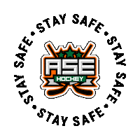 asehockey stay safe staysafe welivehockey asehockey Sticker