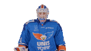 Hockey Ccm Sticker by UNIS Flyers