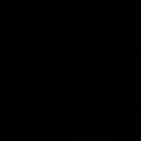 Cat Flan GIF