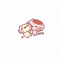 flanthefeline cat flan buttercream flanthefeline GIF