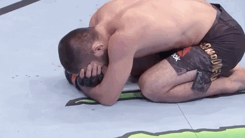 Feels Khabib Nurmagomedov GIF by UFC