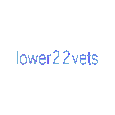 lower22vets giphygifmaker mentalhealth ptsd suicideawareness Sticker