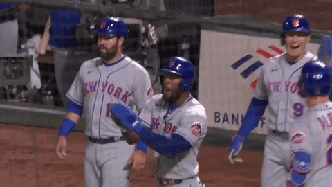 Sport Baseball GIF by SNY