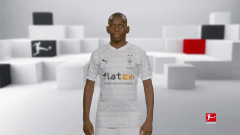 Posing Line Up GIF by Bundesliga