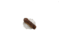 bakery cakes Sticker by signorbistro