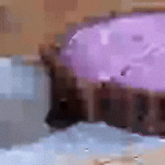 gif 2