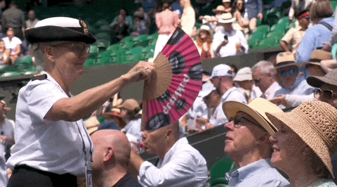Sport Fanning GIF by Wimbledon