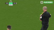 Jan Vertonghen Sport GIF by Play Sports
