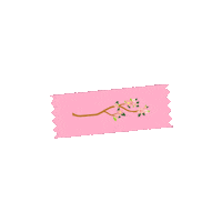 llbrigadeiros flores washitape fita durex Sticker
