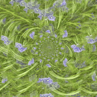 Wild Flowers Kaleidoscope GIF