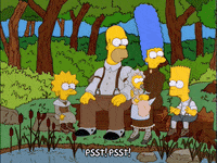 Lisa Simpson GIF by The Simpsons