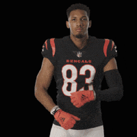 Cincinnati Bengals Football GIF by Bengals
