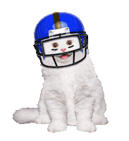 Happy Super Bowl Sticker by chris timmons