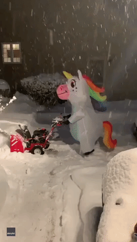 Woman Dons Unicorn Costume to Clear Snow in Schenectady