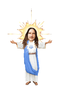 gcz fczurich Sticker by Herr Fuchs Zurich