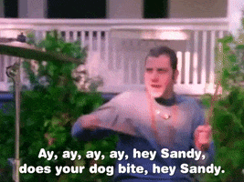 the adventures of pete and pete season number GIF