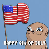 Independence Day America GIF by Fugz Official