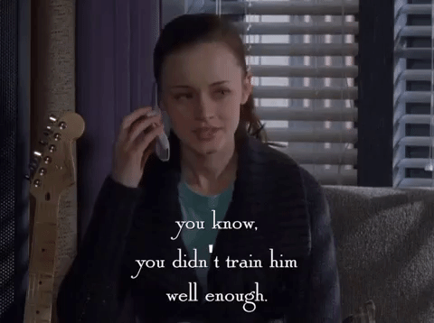 season 6 netflix GIF by Gilmore Girls 