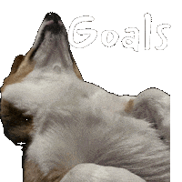 Goal Sticker