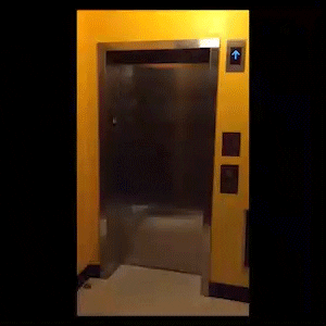 AS220 giphyupload GIF