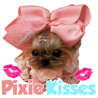 Fashion Model Kisses Sticker by Pimp Yo Pets