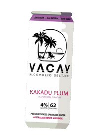 vacayseltzer cheers vacay vacay seltzer vacayseltzer Sticker