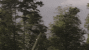 Launch Dropping GIF by Age Of Empires Community