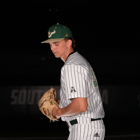 South Florida Baseball GIF by USF Athletics