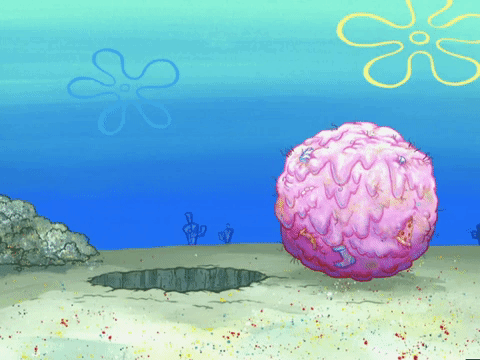 season 4 episode 20 GIF by SpongeBob SquarePants