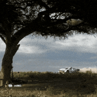 Car Jumping GIF by FIA World Rally Championship