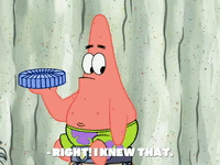 season 8 spongebob's runaway roadtrip: patrick's staycation GIF by SpongeBob SquarePants