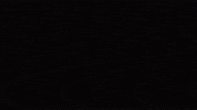 GIF by Yellow Zebra Safaris