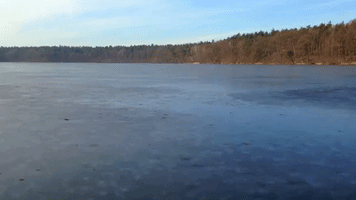 Nature Sings as Frozen Lake Melts