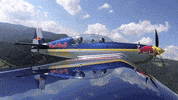 redbullracing france 2019 f1 motorsport GIF