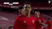 Sl Benfica Love GIF by Sport Lisboa e Benfica