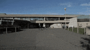 uviccampuslife students busy campus cafeteria GIF