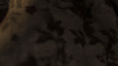 Vr Vtuber GIF