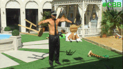 bbuk big brother reality tv cbb celebrity big brother GIF