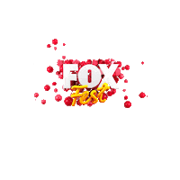 Fun Fox Sticker by NOW