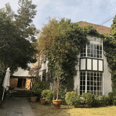 greenboxcl giphygifmaker GIF