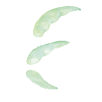 Sticker by Emma Martiny