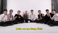 We Are Stray Kids!