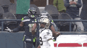 Seattle Seahawks Football GIF by NFL