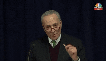 chuck schumer GIF