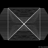 pislices loop 3d trippy black and white GIF