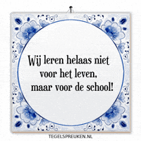 School Wijsheid GIF by Tegelspreuken.nl